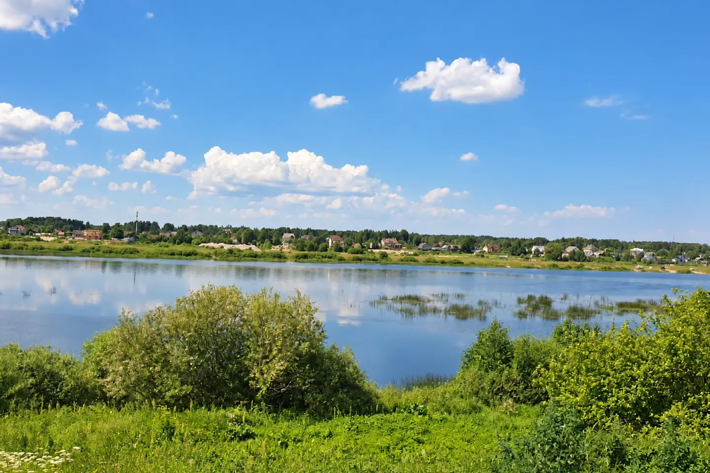 Речная панорама Черёхи